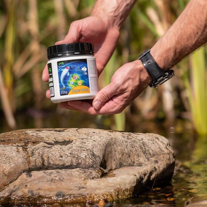 Super Pond Home Pond
